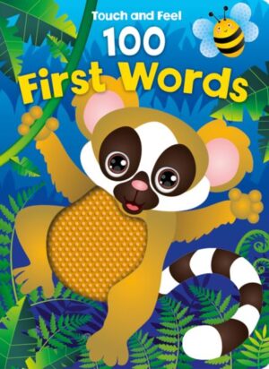 TOUCH AND FEEL SILICONE: 100 FIRST WORDS